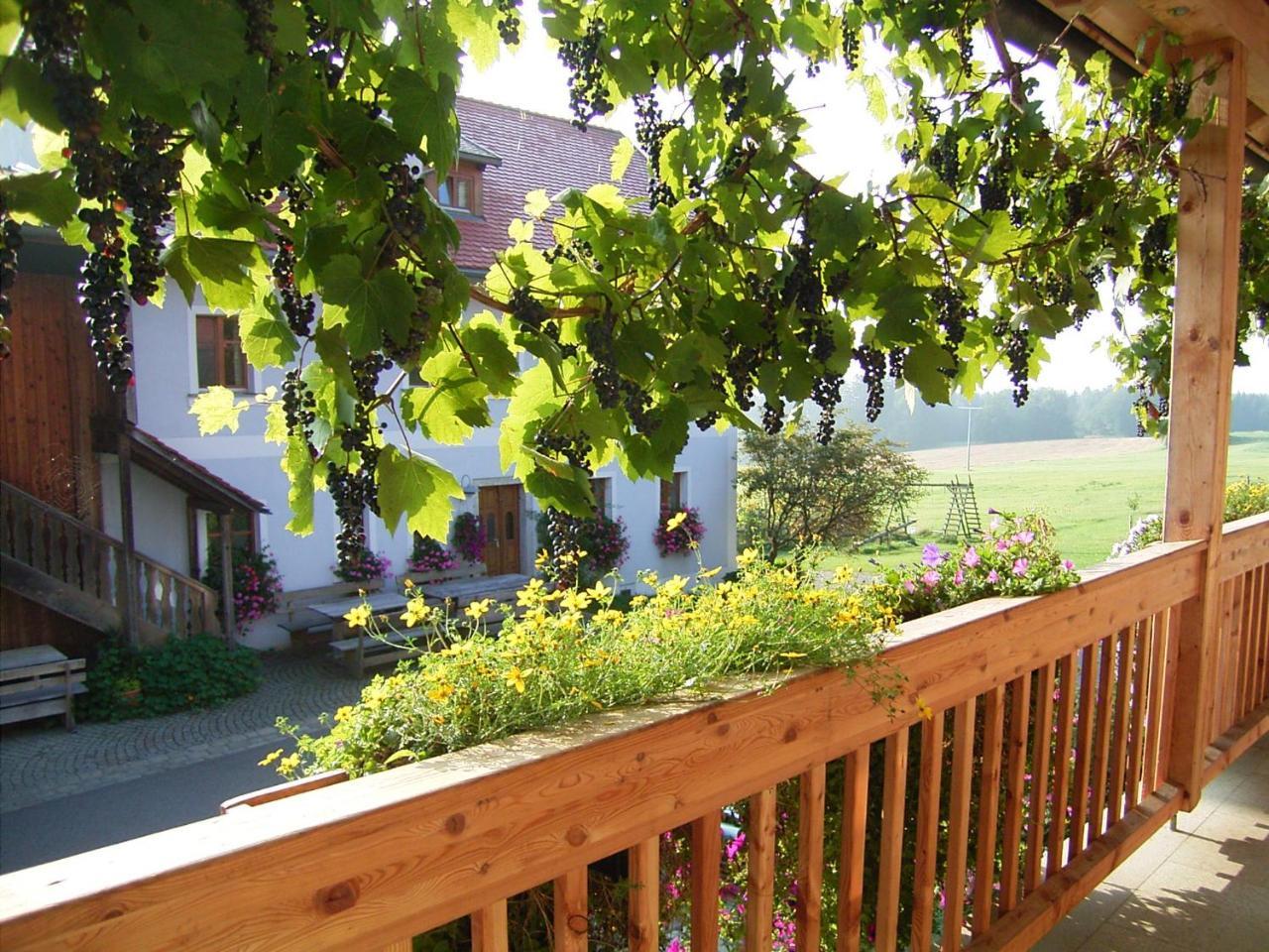 Hanauerhof Schönsee Exterior foto